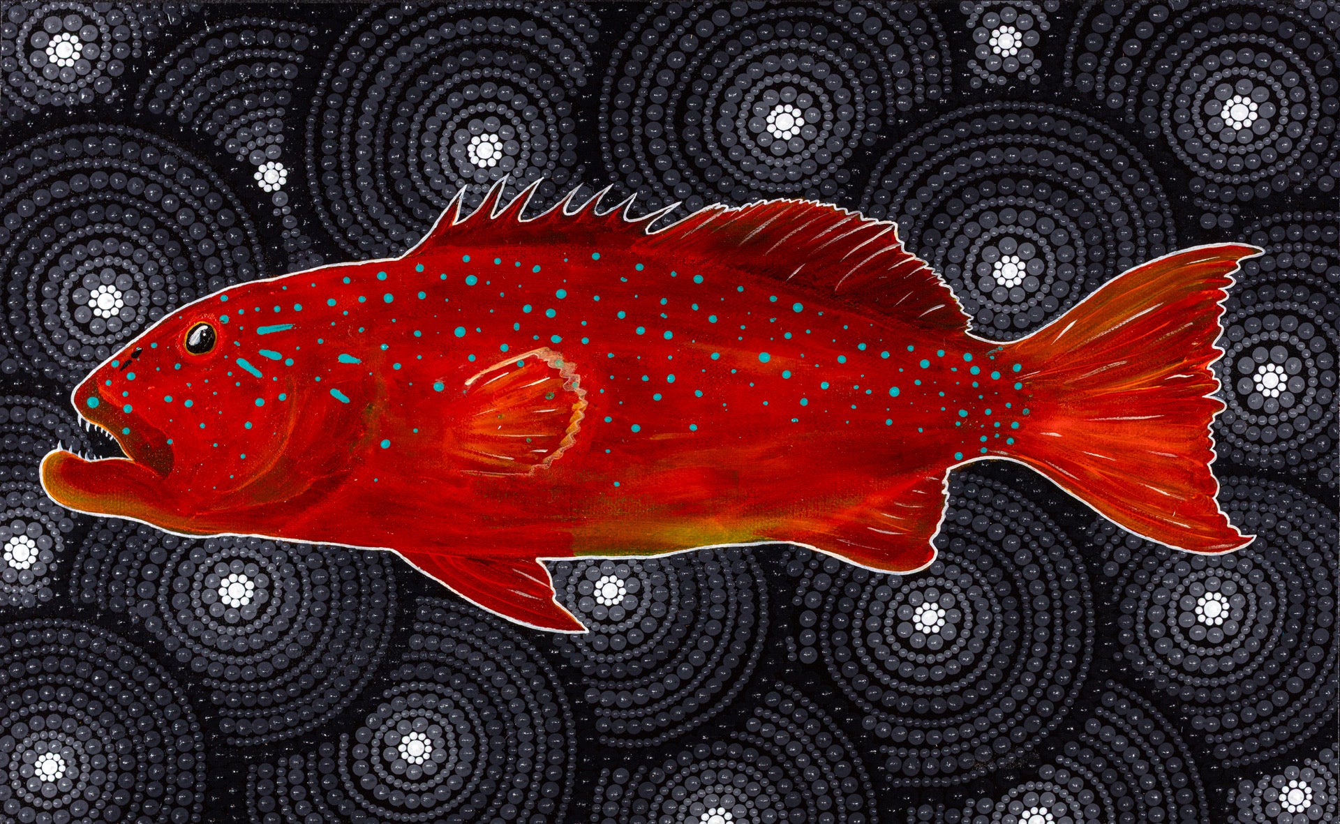 Coral Trout - Glossy Art Print
