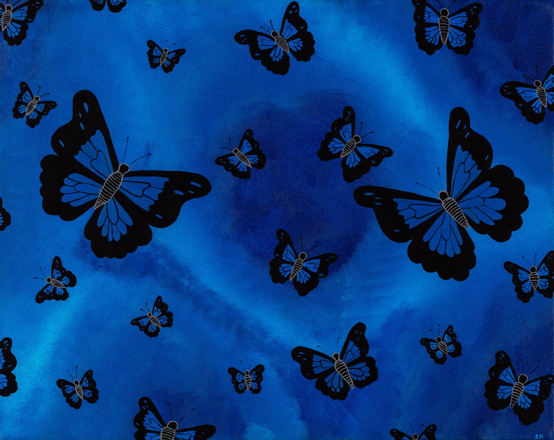 Ulysess Butterfly - Glossy Art Prints